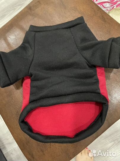 Толстовка для собак/кошек