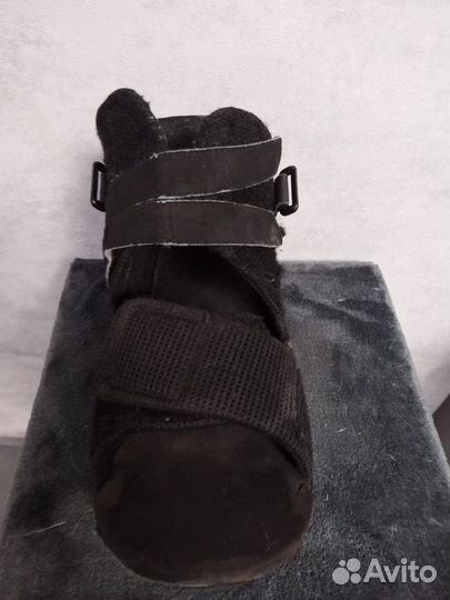 Сапожок барука