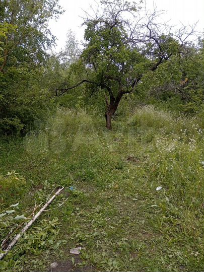 Участок 16,03 га (СНТ, ДНП)