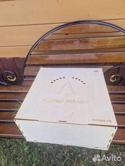 Сосна Обыкновенная Pinus sylvestris