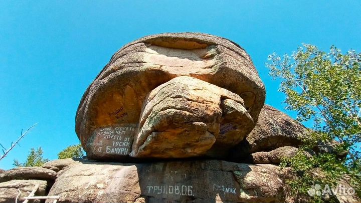 Тур поездка Алтай летний от 5 до 9 д