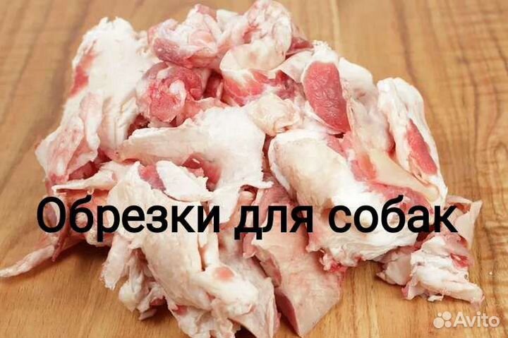 Кости для собак свежие