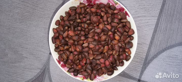 Орех кадровый