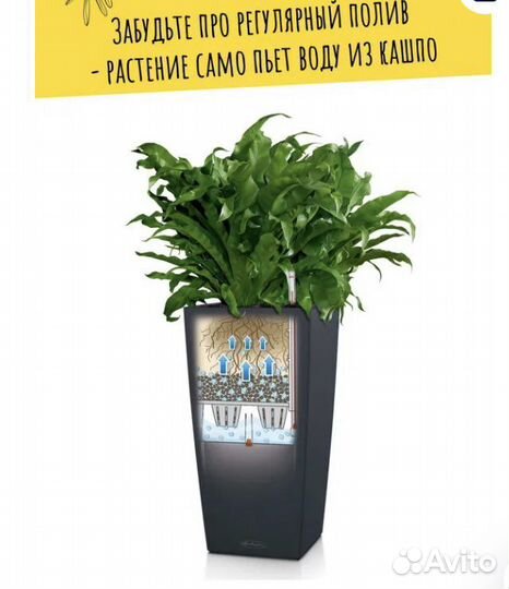 Кашпо с автополивом Lechuza 30*56*30