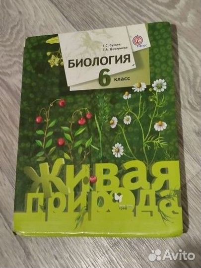 Учебник 6 класс