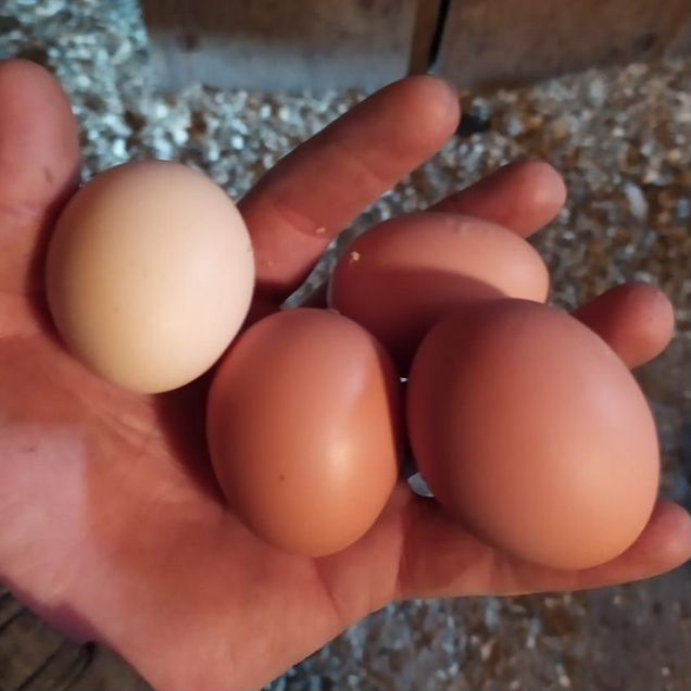 Фермерские продукты