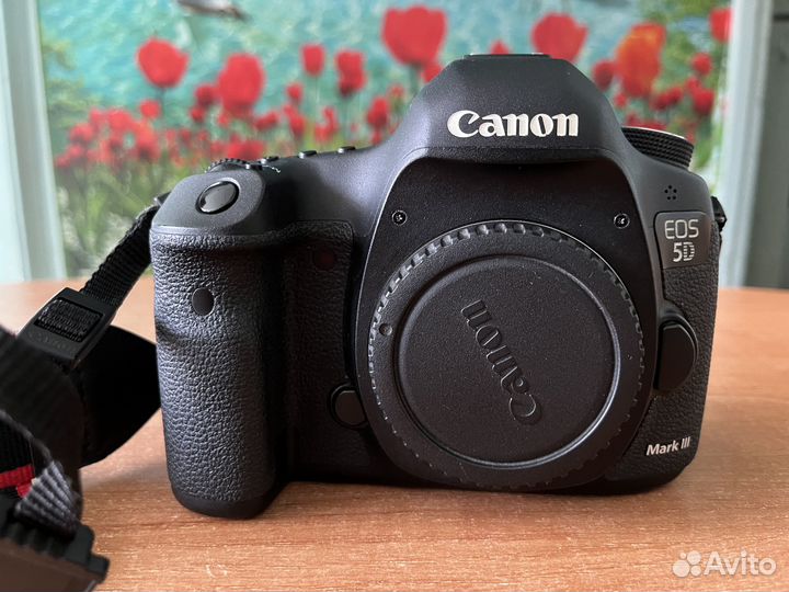 Canon 5D mark iii body