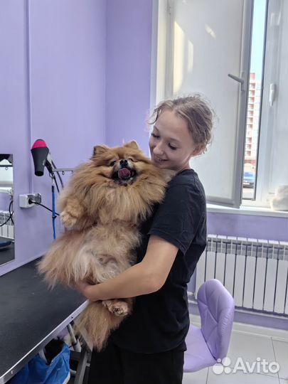 Грумер с выездом на дом