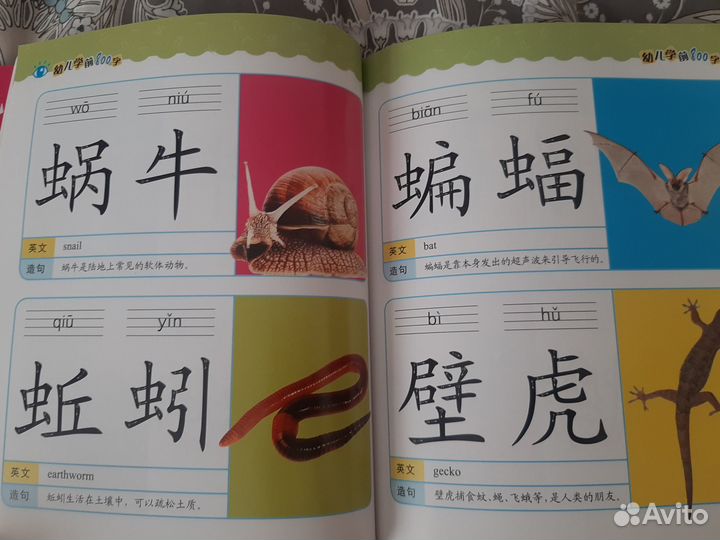 Китайские книги