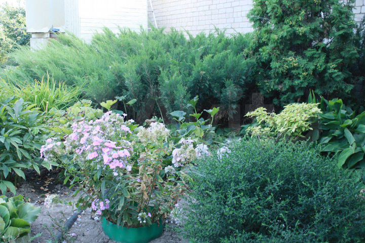 Дом 90 м² на участке 18 сот.