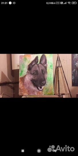 Портрет питомца