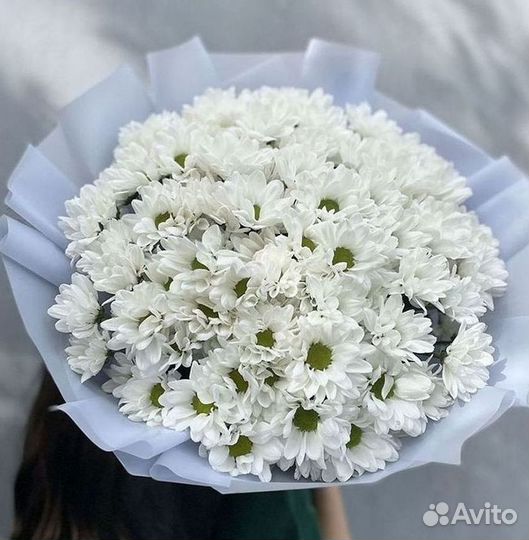 Доставка букетов и цветов. Хризантема
