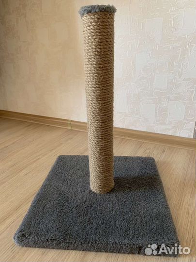 Когтеточка