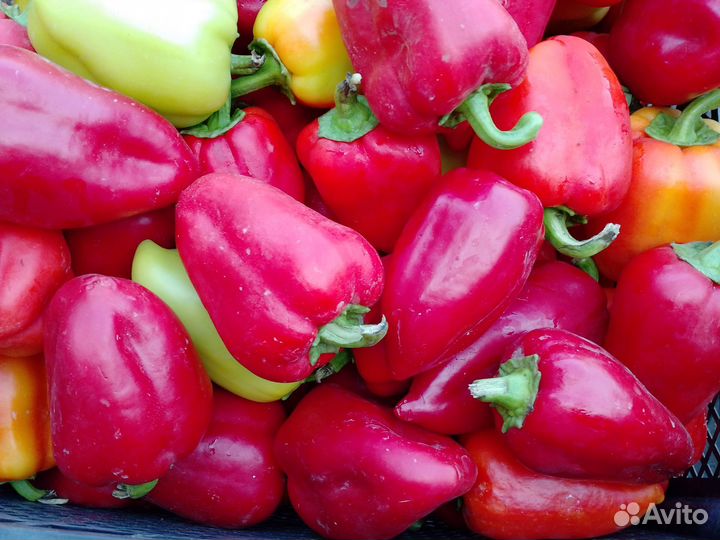 Картофель и другие овощи с доставкой