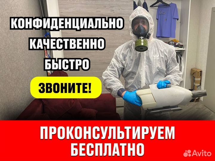 Уничтожение тараканов и клопов дезинсекция