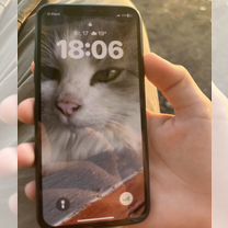 iPhone Xs, 256 ГБ