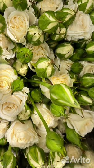 Цветы оптом. Розы, букеты, с доставкой от склада