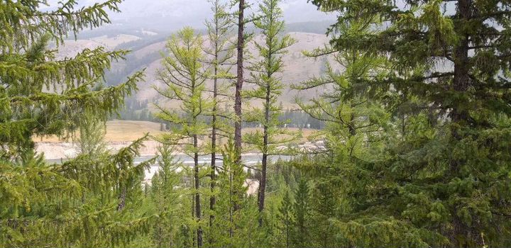 Участок 42,9 га (СНТ, ДНП)