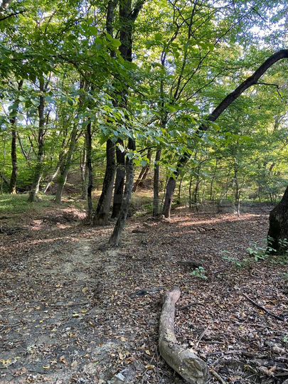 Участок 70 сот. (СНТ, ДНП)