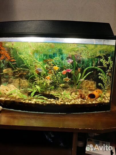 Аквариум с тумбой