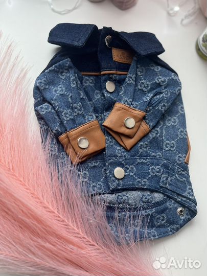 Gucci одежда для собак