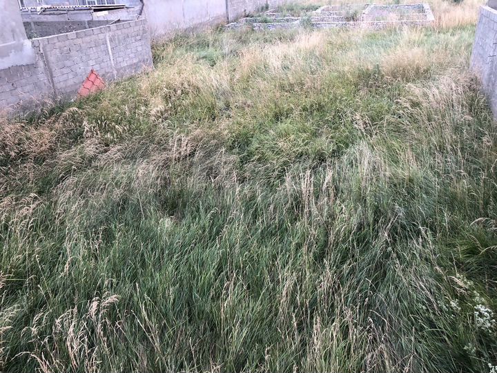 Участок 5 сот. (ИЖС)