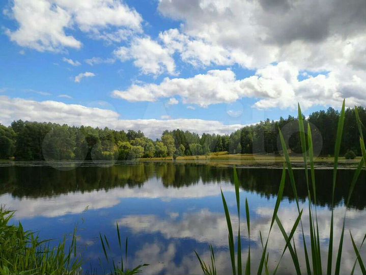 Дом 65 м² на участке 10 сот.