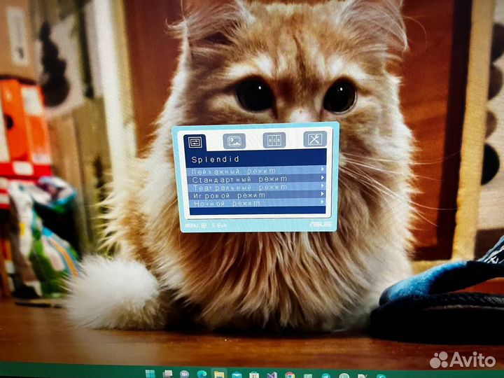 Монитор asus VW220