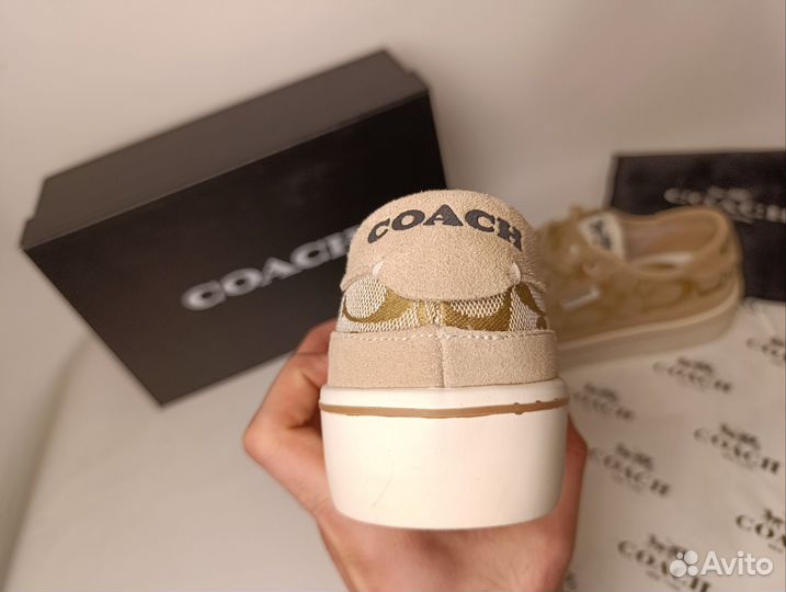 Кеды coach