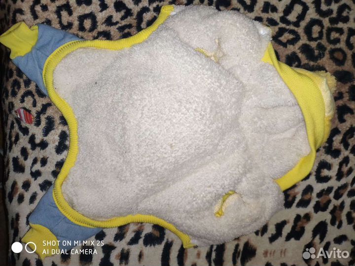 Одежда для собак мелких пород