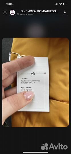 Комбинезон зимний Северленд