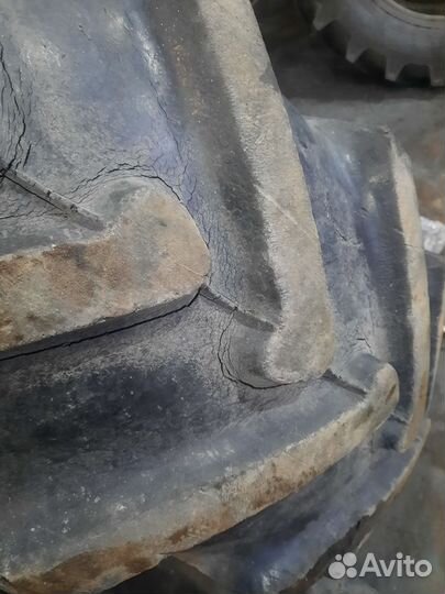 Шина на мтз 15.5-38 ф-2ад