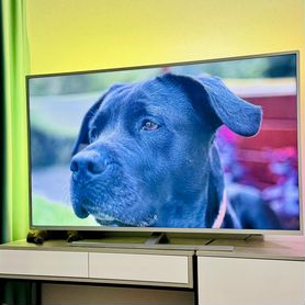 Телевизор Philips 58PUS8505/60, 4K Ultra HD