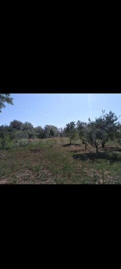 Дом 75 м² на участке 35 сот.