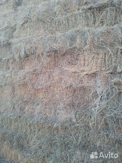 Сено в тюках