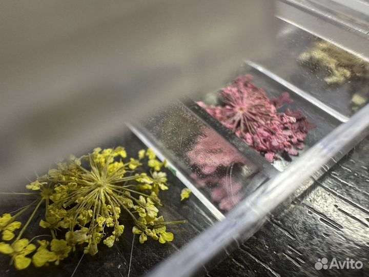 Набор для дизайна ногтей