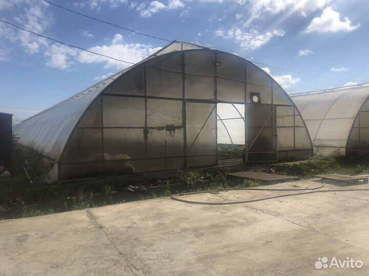 Аренда теплиц с клубникой