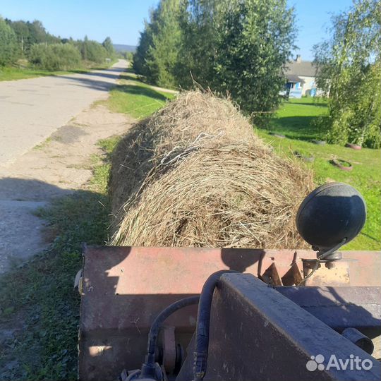 Продам сено в рулонах