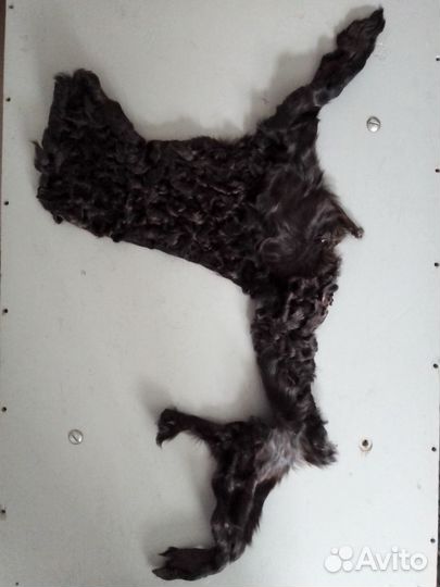 Каракульча обрезки