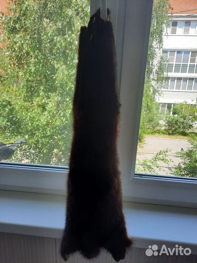 Продаю шкурку норки