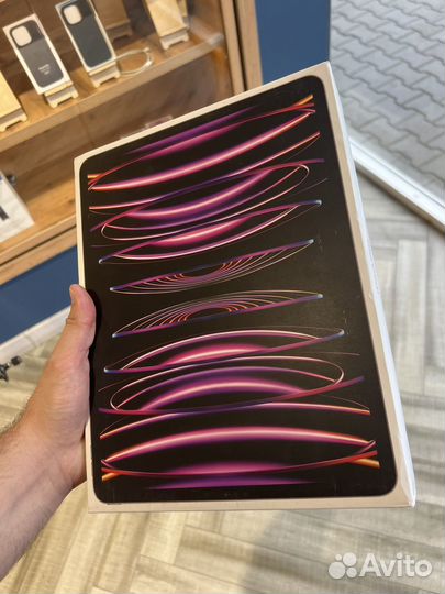 iPad pro 12.9 m2 256
