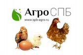 АГРО СПБ