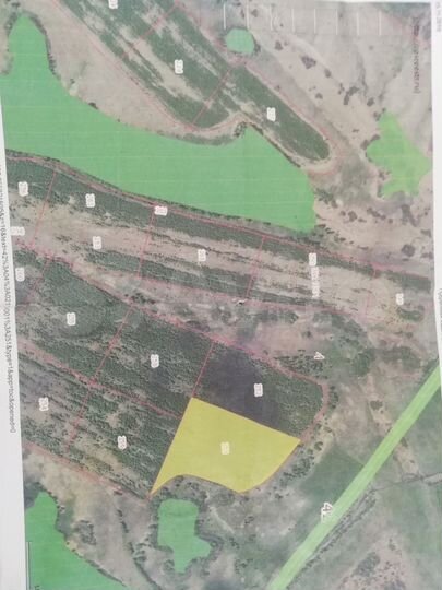 Участок 14 сот. (СНТ, ДНП)