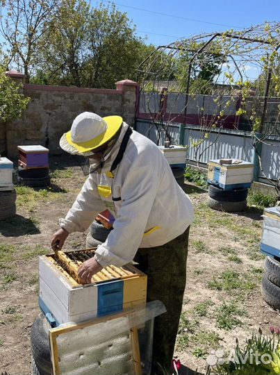 Мед натуральный(цена за 3л банку)разнотравье Крым