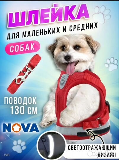 Шлейка с поводком