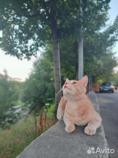 Отдавать, чтобы дарить счастье