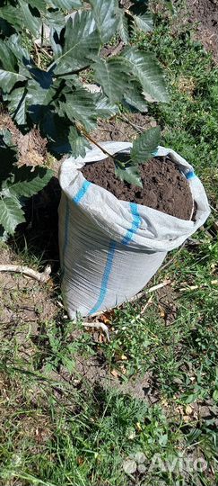 Чернозем рассыпчатый,перегной крс,1/20куб,мешками