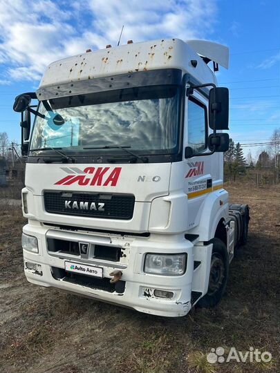 КАМАЗ 5490, 2019