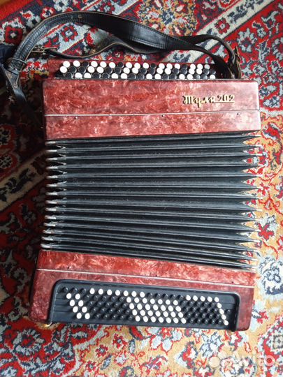 Баян Тула 202