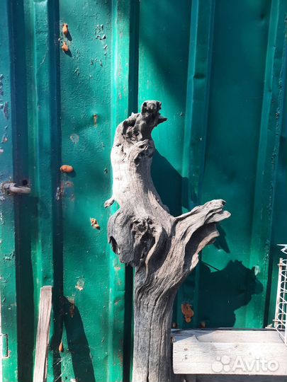 Топляк декоративный